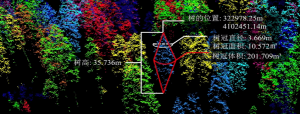 高光譜在林業(yè)的應用