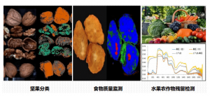 高光譜在食品安全的應用